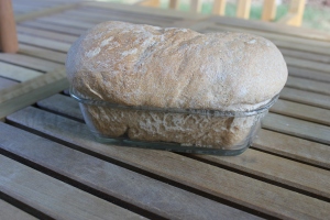 First loaf of homemade Grandmother Bread